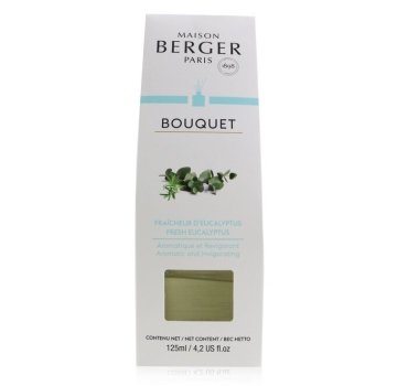 Аромати для будинку Maison Berger Paris_6