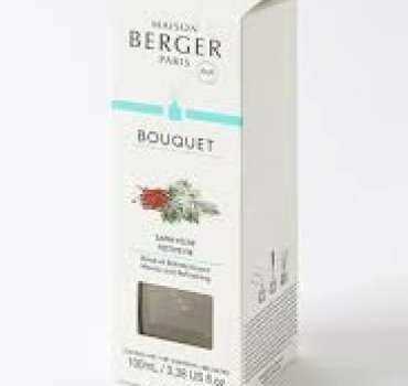 Аромати для будинку Maison Berger Paris_4